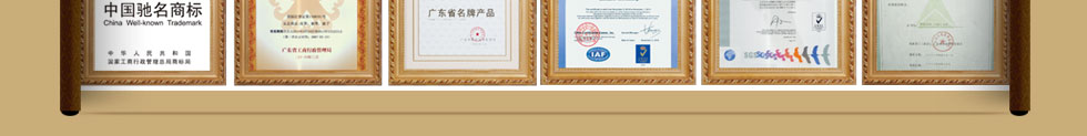 黛富妮公司先后通过ISO-9001，ISO-14001认证及获颁;台湾金字招牌奖，顾客满意金质奖，广东著名商标，中国国家免检。预计08年可拿到中国驰名商标与中国名牌。