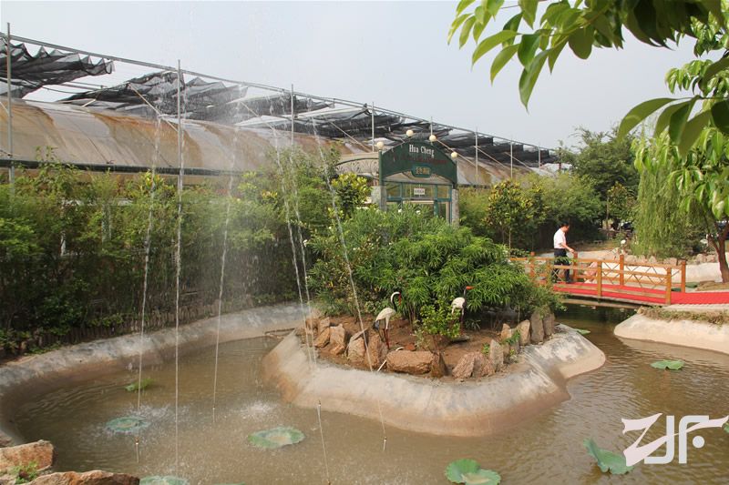海门叠石桥葡萄科技生态休闲园
