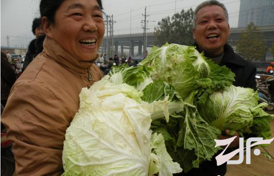 郑州一家纺织企业上街免费送白菜