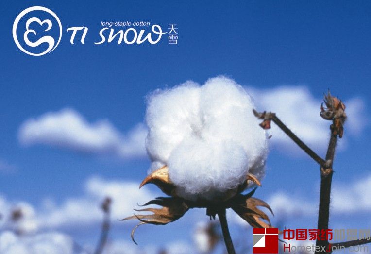 天雪棉是一种新开发的、高等级的棉花品种。