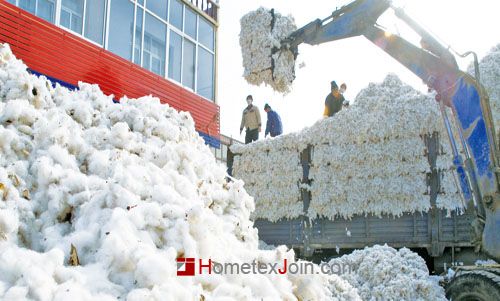 棉花市场价格不断下跌  而且还将继续