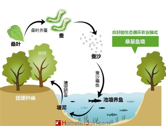 国内丝绸业正在"突围"  浙江重现"桑基鱼塘"