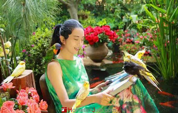 杨丽萍在自家后花园中上演现实版“雀之灵”